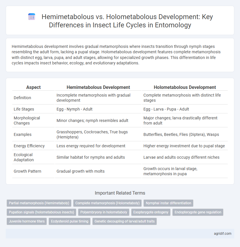Hemimetabolous vs. Holometabolous Development: Key Differences in Insect Life Cycles in Entomology