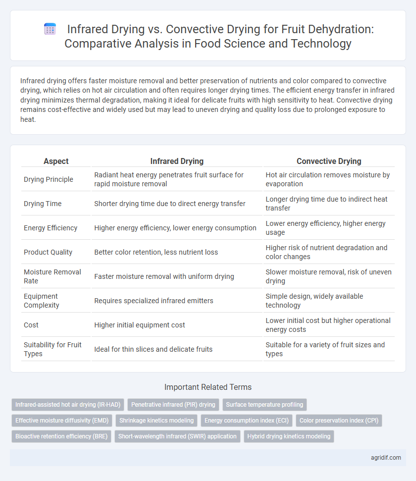 Infrared Drying vs. Convective Drying for Fruit Dehydration: Comparative Analysis in Food Science and Technology