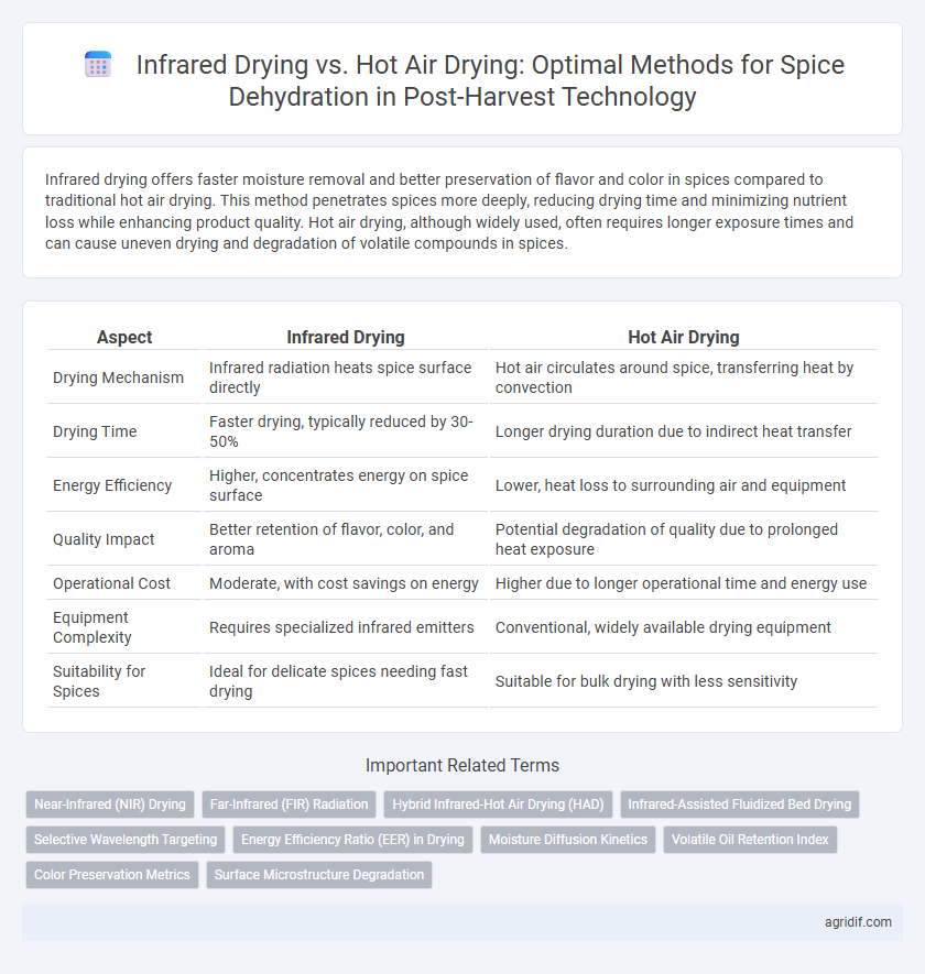 Infrared Drying vs. Hot Air Drying: Optimal Methods for Spice Dehydration in Post-Harvest Technology