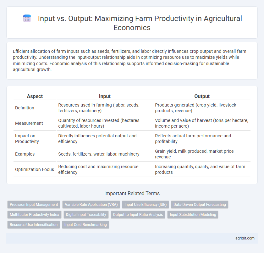 Input vs. Output: Maximizing Farm Productivity in Agricultural Economics