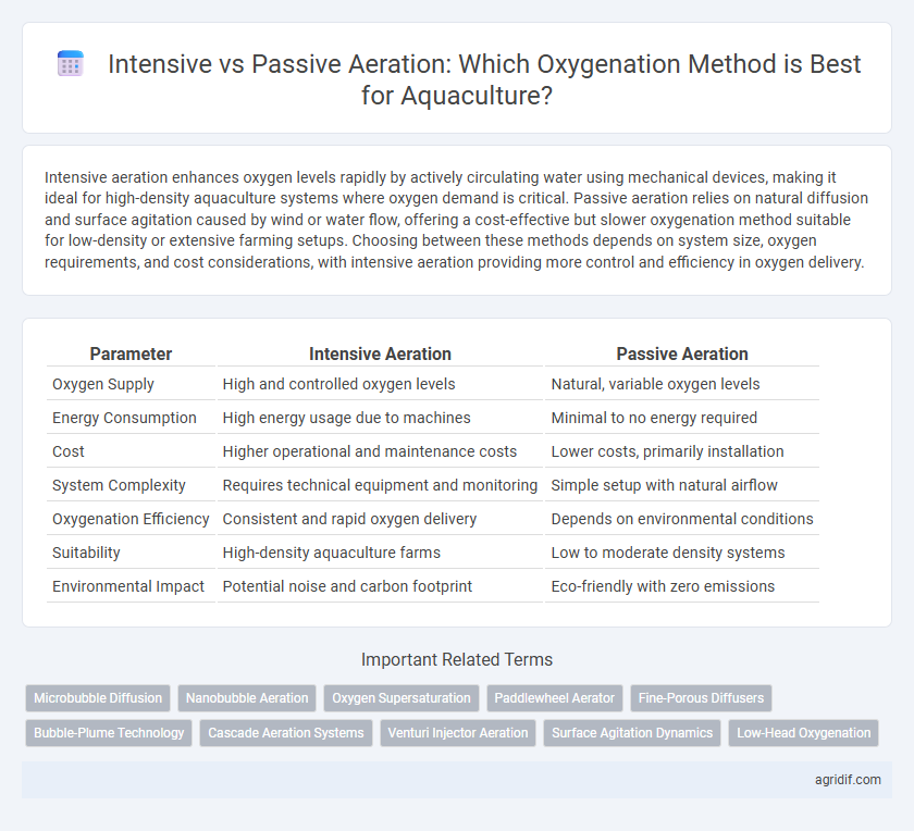 Intensive vs Passive Aeration: Which Oxygenation Method is Best for Aquaculture?