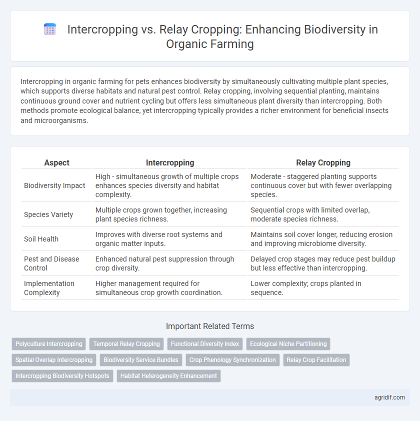 Intercropping vs. Relay Cropping: Enhancing Biodiversity in Organic Farming