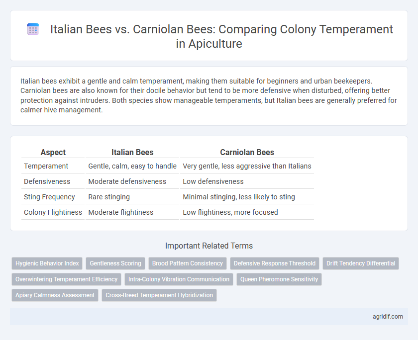 Italian Bees vs. Carniolan Bees: Comparing Colony Temperament in Apiculture