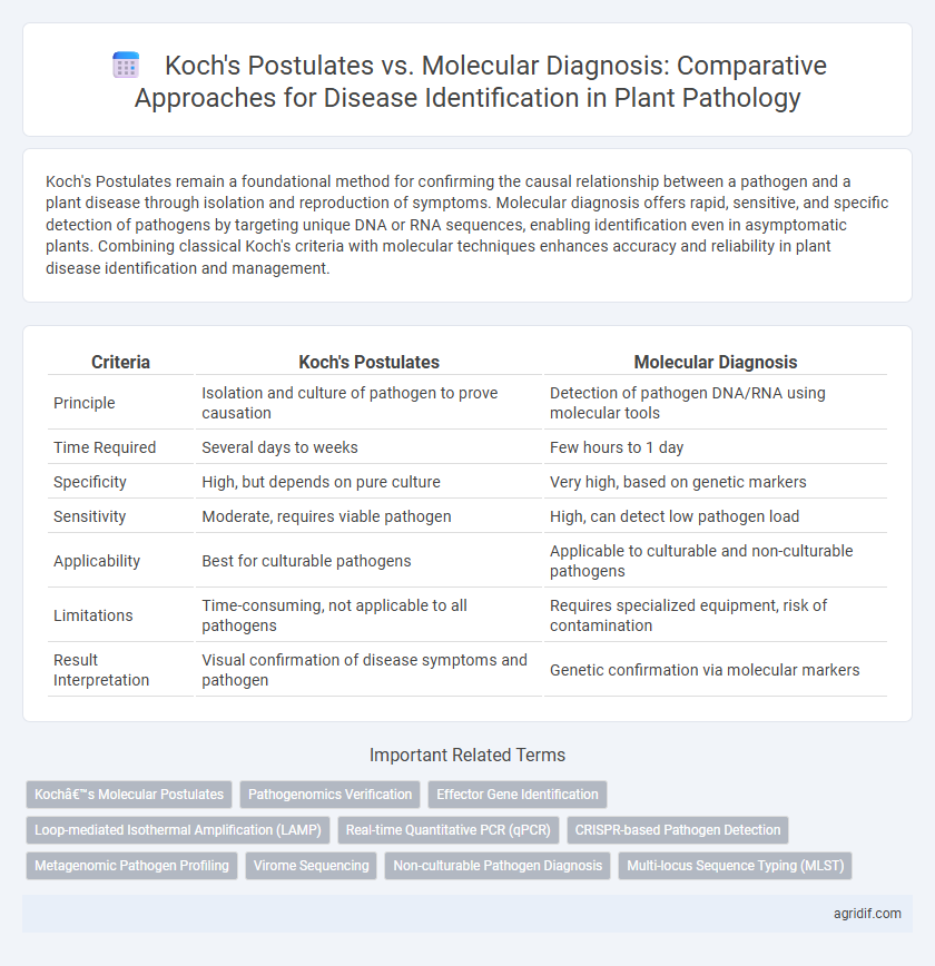 Koch's Postulates vs. Molecular Diagnosis: Comparative Approaches for Disease Identification in Plant Pathology