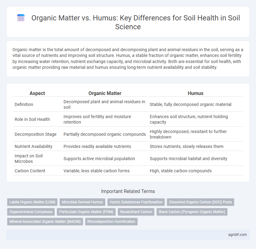 Organic Matter vs. Humus: Key Differences for Soil Health in Soil Science