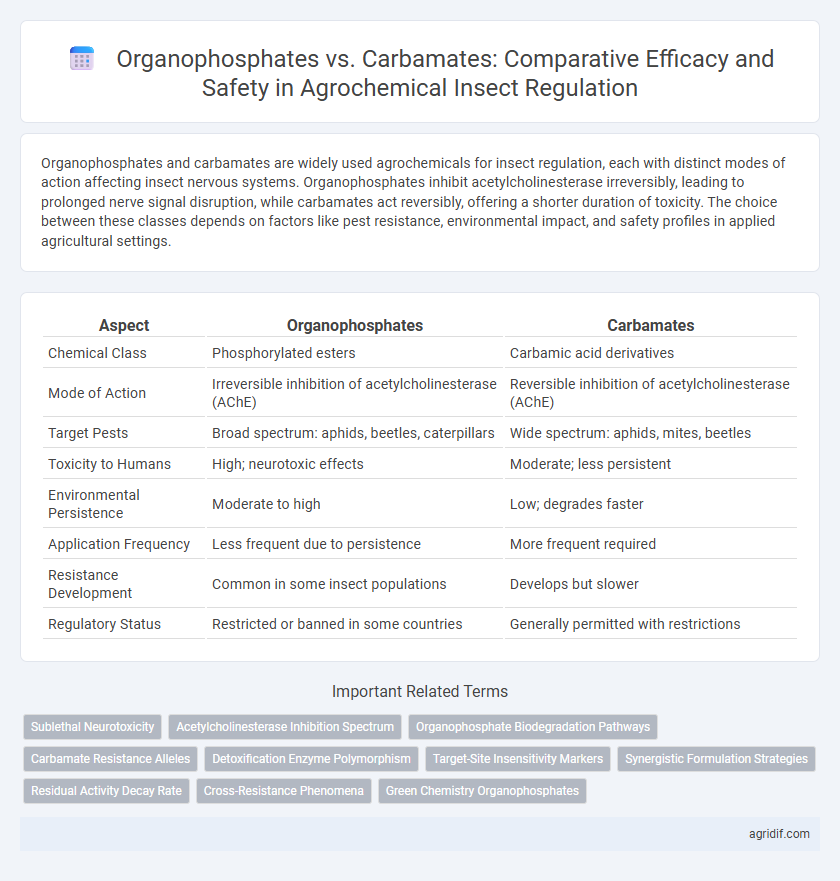 Organophosphates vs. Carbamates: Comparative Efficacy and Safety in Agrochemical Insect Regulation