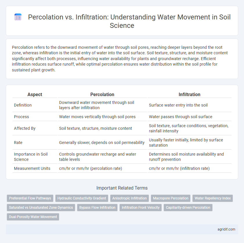 Percolation vs. Infiltration: Understanding Water Movement in Soil Science