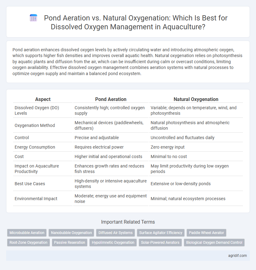 Pond Aeration vs. Natural Oxygenation: Which Is Best for Dissolved Oxygen Management in Aquaculture?