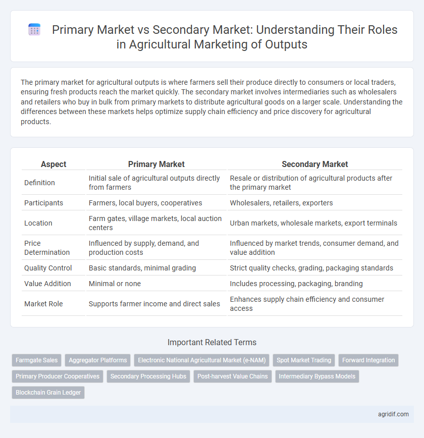 Primary Market vs Secondary Market: Understanding Their Roles in Agricultural Marketing of Outputs