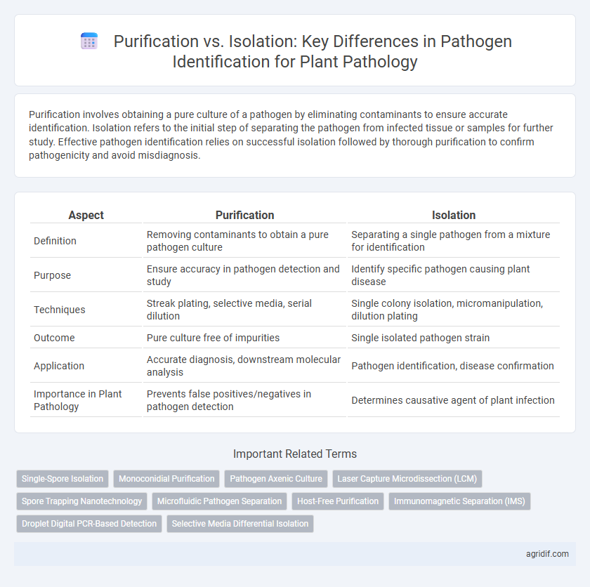 Purification vs. Isolation: Key Differences in Pathogen Identification for Plant Pathology