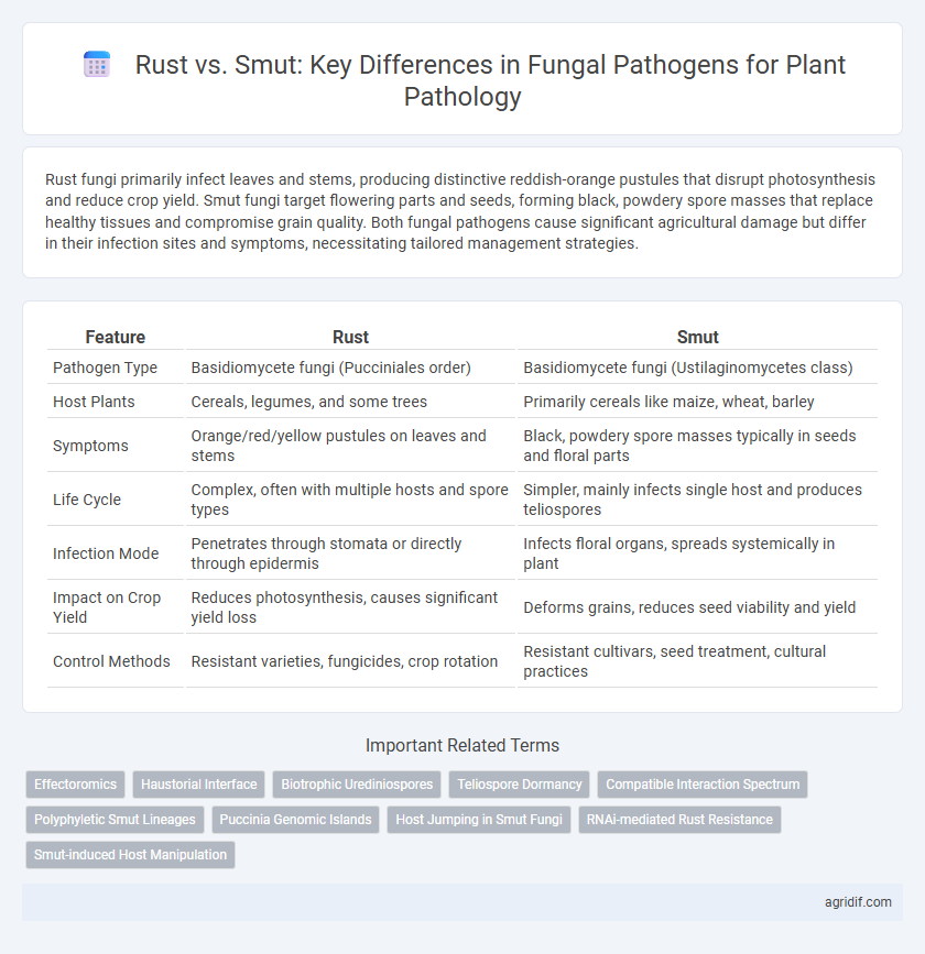 Rust vs. Smut: Key Differences in Fungal Pathogens for Plant Pathology