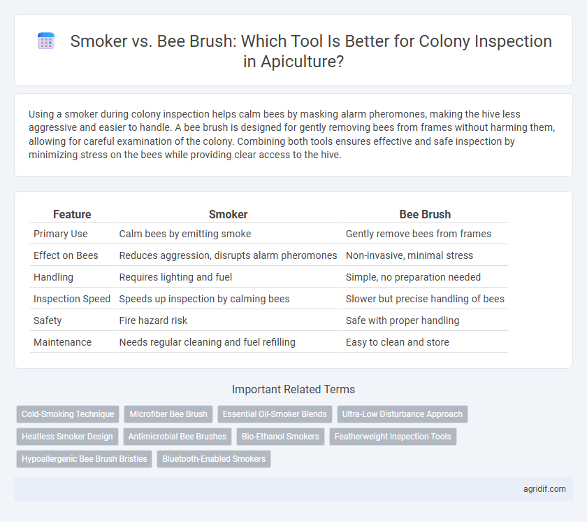 Smoker vs. Bee Brush: Which Tool Is Better for Colony Inspection in Apiculture?
