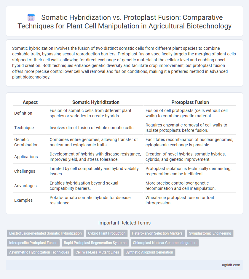 Somatic Hybridization vs. Protoplast Fusion: Comparative Techniques for Plant Cell Manipulation in Agricultural Biotechnology