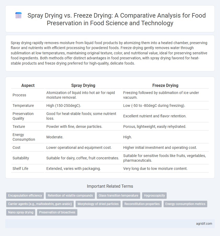 Spray Drying vs. Freeze Drying: A Comparative Analysis for Food Preservation in Food Science and Technology