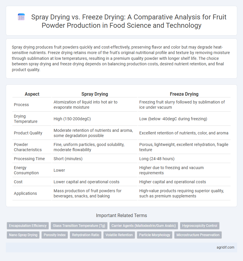 Spray Drying vs. Freeze Drying: A Comparative Analysis for Fruit Powder Production in Food Science and Technology