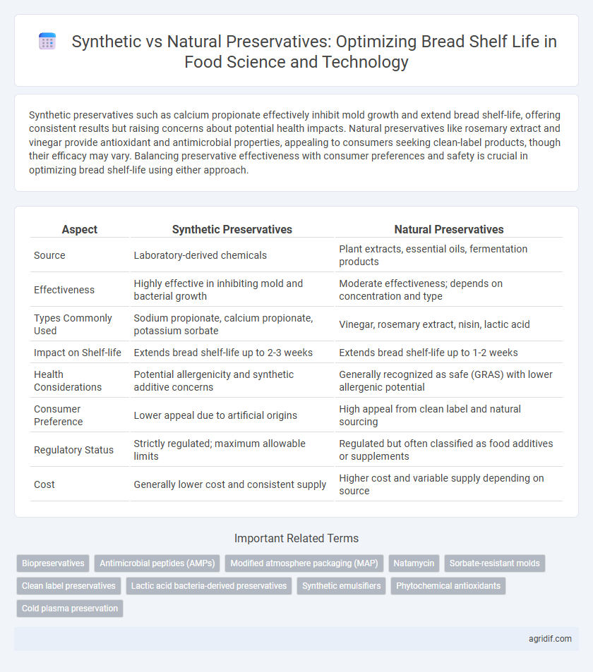Synthetic vs Natural Preservatives: Optimizing Bread Shelf Life in Food Science and Technology