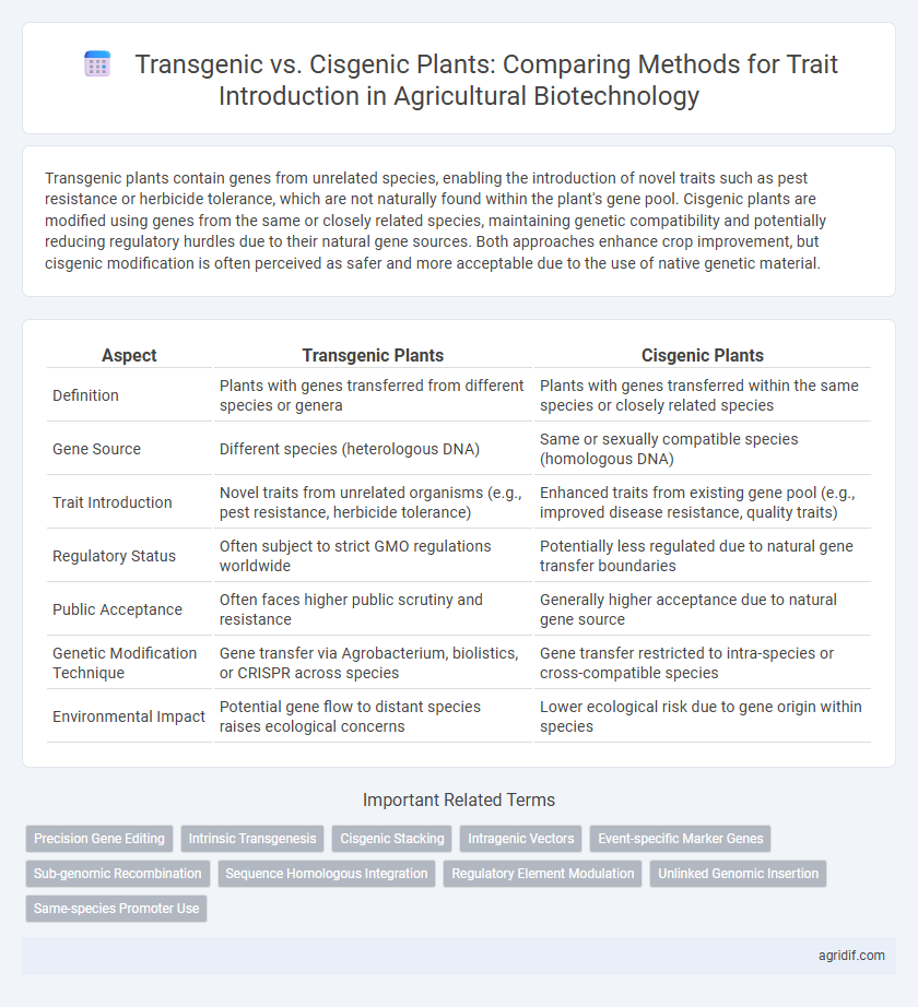 Transgenic vs. Cisgenic Plants: Comparing Methods for Trait Introduction in Agricultural Biotechnology