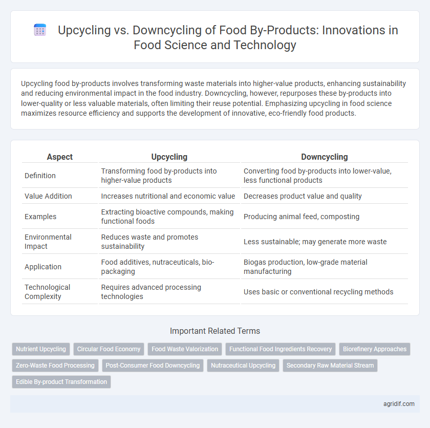 Upcycling vs. Downcycling of Food By-Products: Innovations in Food Science and Technology