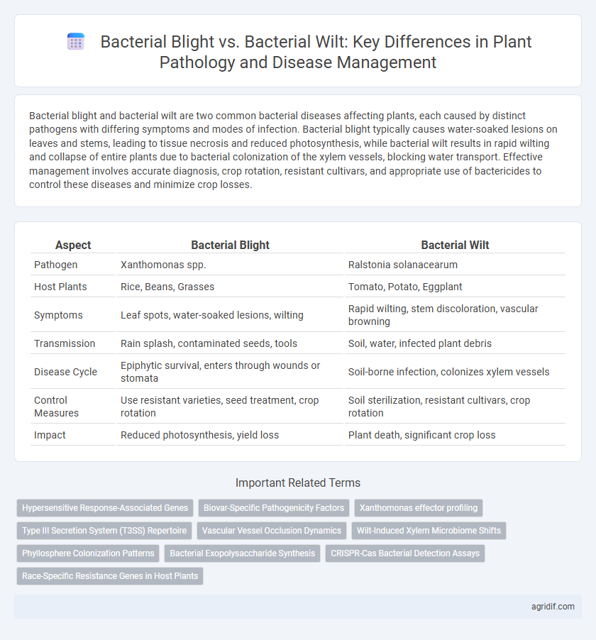 Bacterial Blight vs. Bacterial Wilt: Key Differences in Plant Pathology and Disease Management