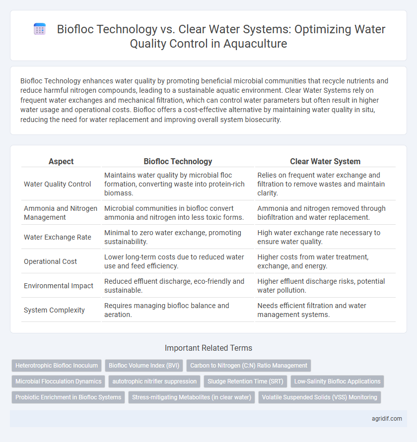 Biofloc Technology vs. Clear Water Systems: Optimizing Water Quality Control in Aquaculture