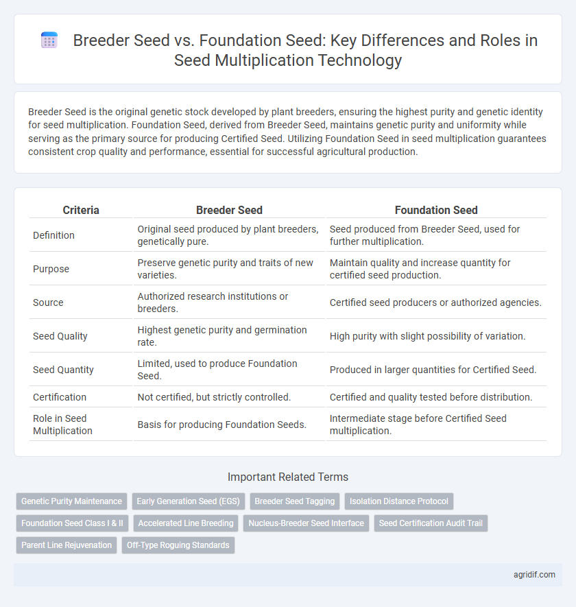 Breeder Seed vs. Foundation Seed: Key Differences and Roles in Seed Multiplication Technology
