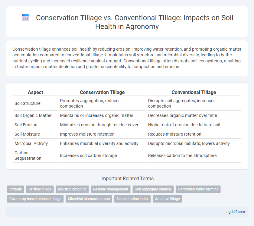 Conservation Tillage vs. Conventional Tillage: Impacts on Soil Health in Agronomy