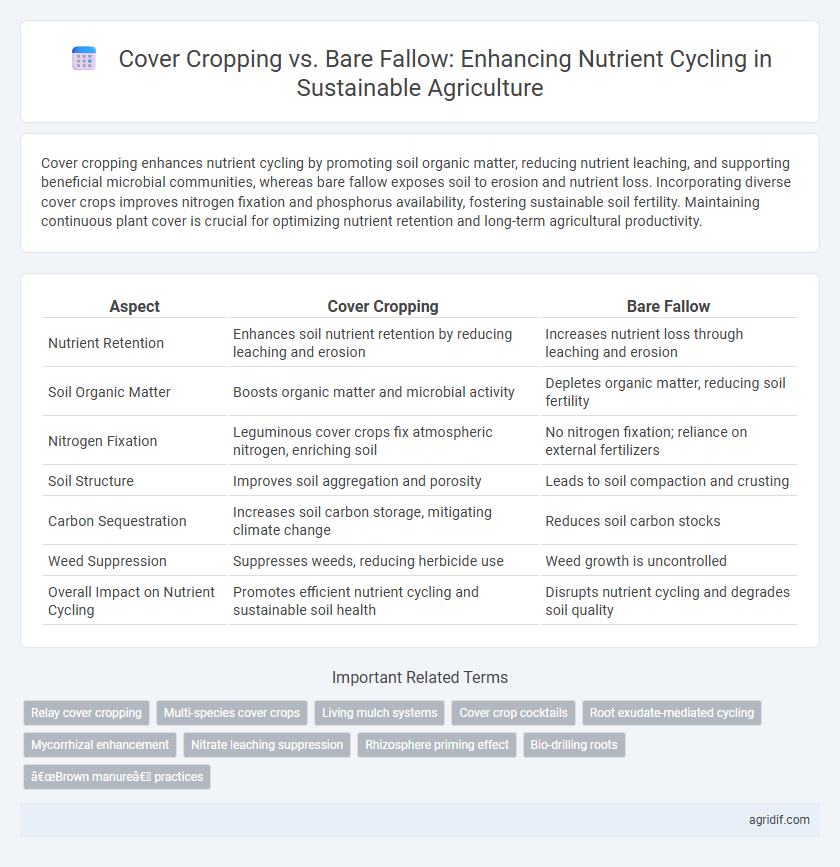 Cover Cropping vs. Bare Fallow: Enhancing Nutrient Cycling in Sustainable Agriculture
