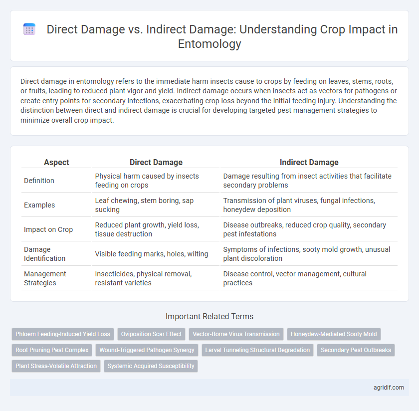 Direct Damage vs. Indirect Damage: Understanding Crop Impact in Entomology