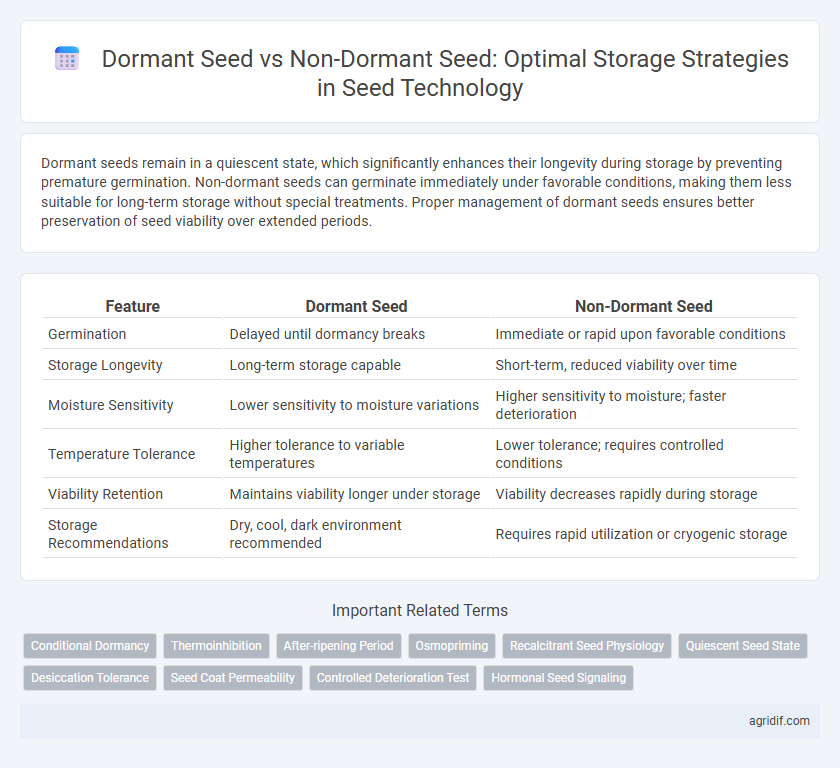 Dormant Seed vs Non-Dormant Seed: Optimal Storage Strategies in Seed Technology