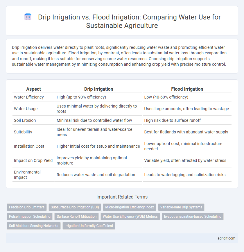 Drip Irrigation vs. Flood Irrigation: Comparing Water Use for Sustainable Agriculture