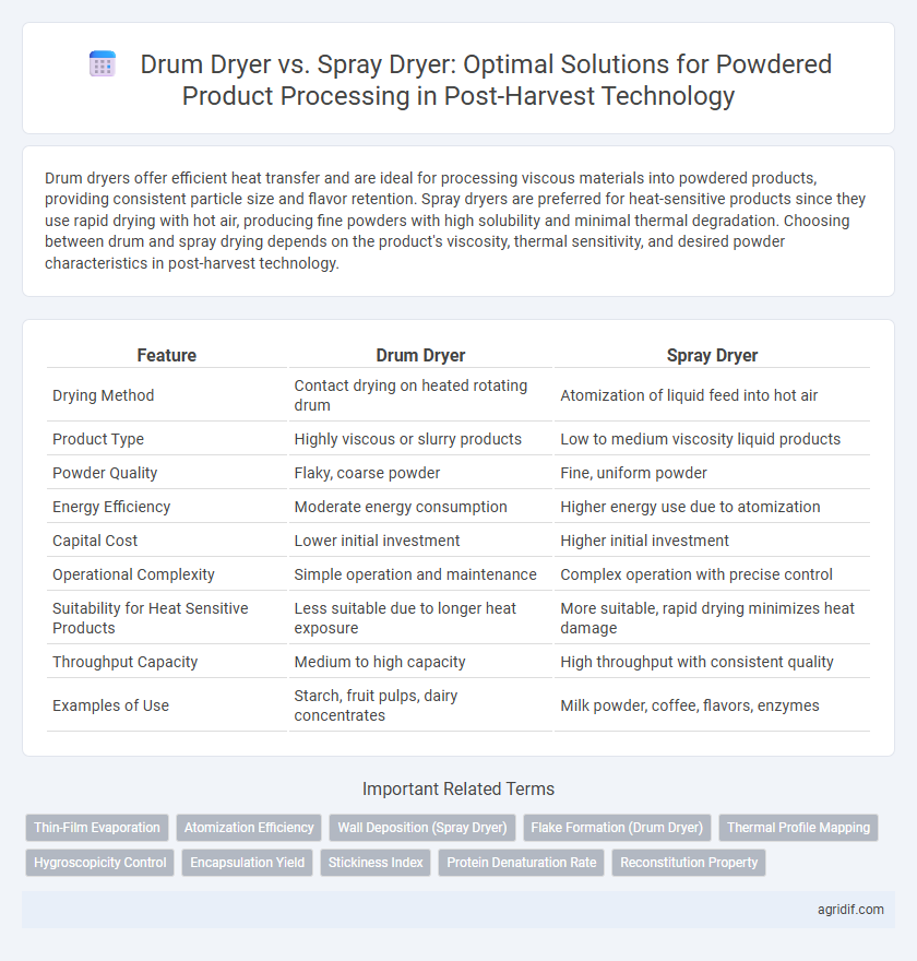 Drum Dryer vs. Spray Dryer: Optimal Solutions for Powdered Product Processing in Post-Harvest Technology
