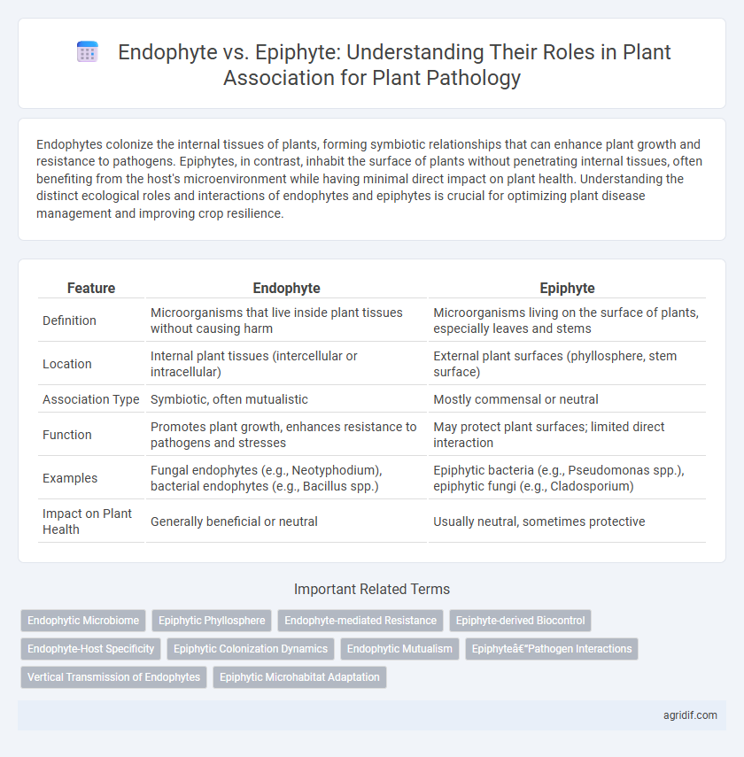 Endophyte vs. Epiphyte: Understanding Their Roles in Plant Association for Plant Pathology