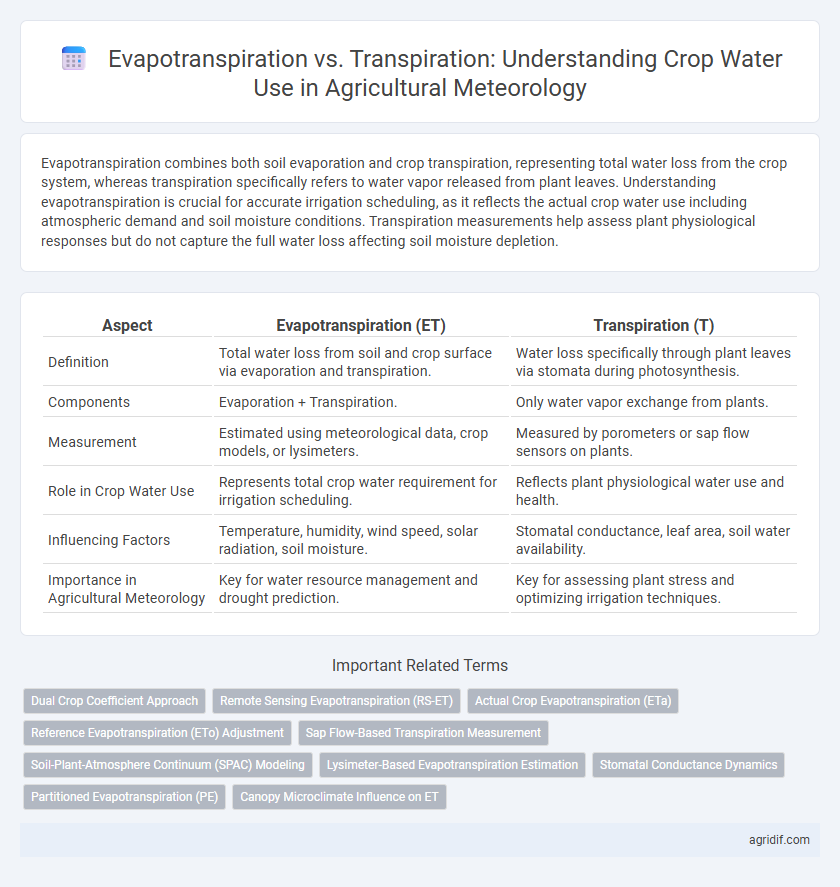 Evapotranspiration vs. Transpiration: Understanding Crop Water Use in Agricultural Meteorology