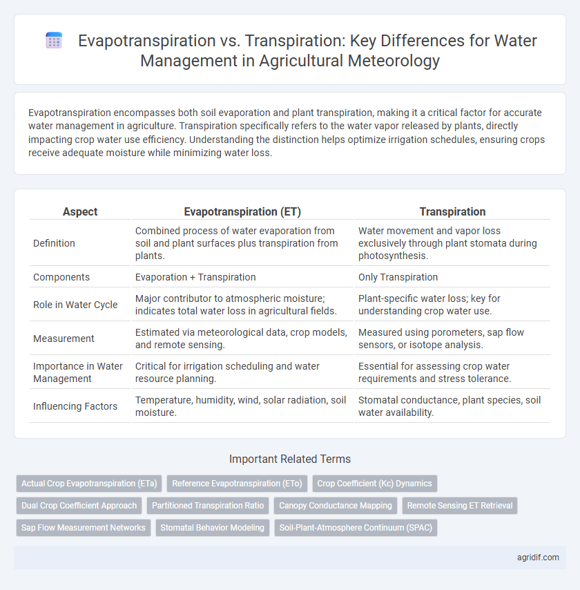 Evapotranspiration vs. Transpiration: Key Differences for Water Management in Agricultural Meteorology