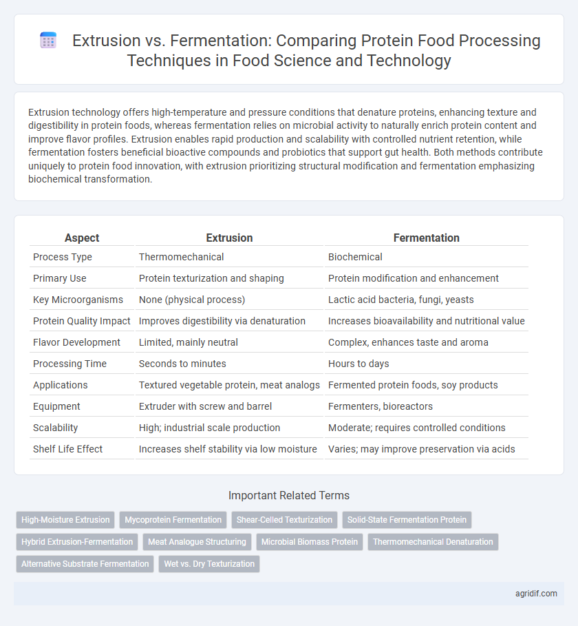 Extrusion vs. Fermentation: Comparing Protein Food Processing Techniques in Food Science and Technology