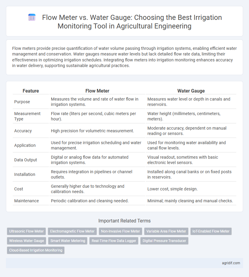 Flow Meter vs. Water Gauge: Choosing the Best Irrigation Monitoring Tool in Agricultural Engineering