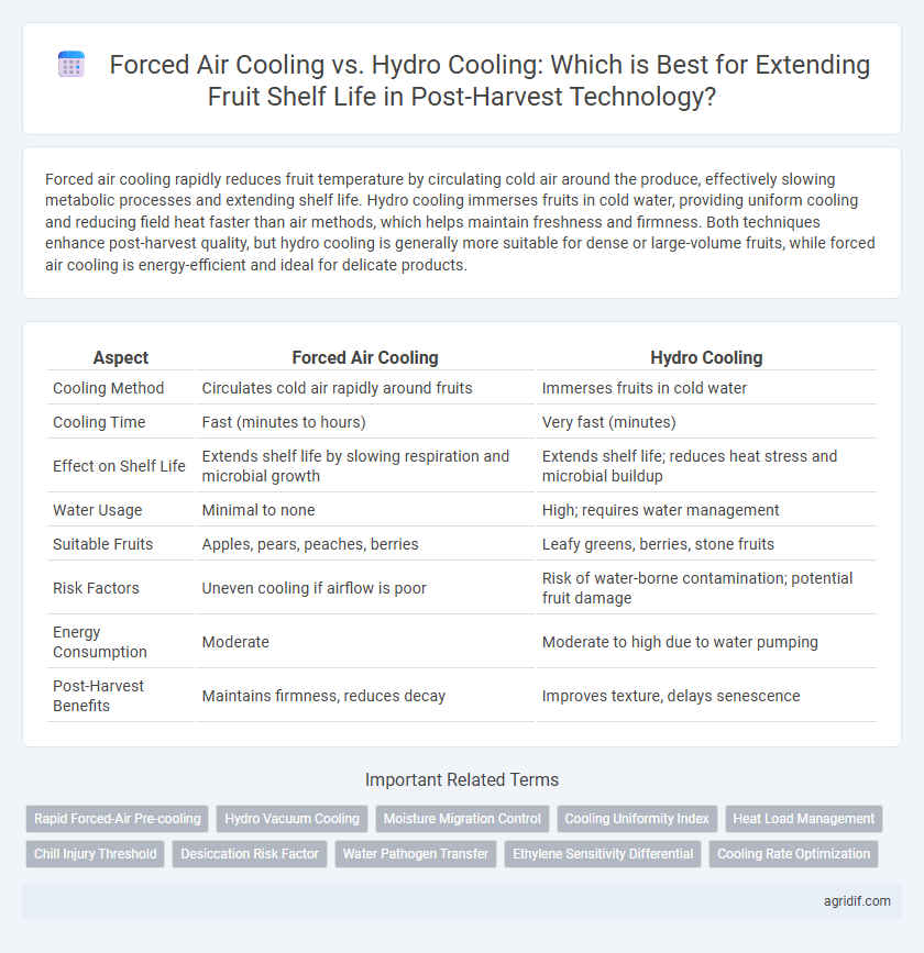 Forced Air Cooling vs. Hydro Cooling: Which is Best for Extending Fruit Shelf Life in Post-Harvest Technology?