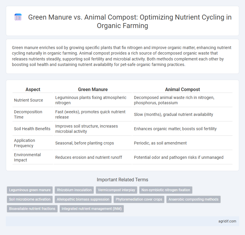 Green Manure vs. Animal Compost: Optimizing Nutrient Cycling in Organic Farming