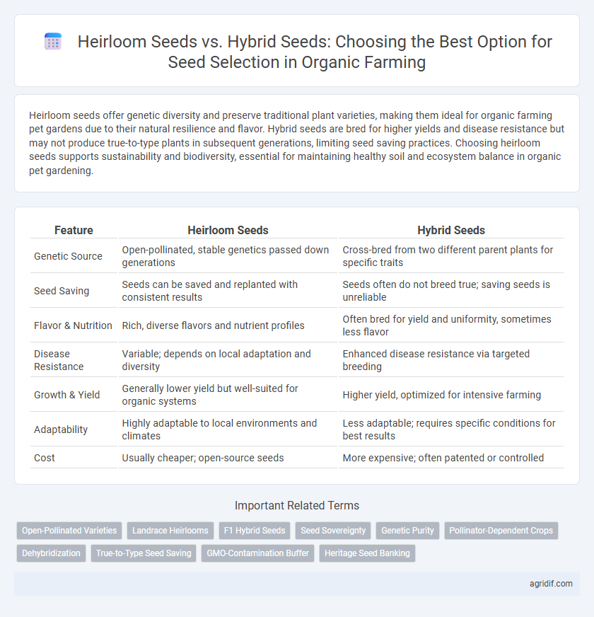 Heirloom Seeds vs. Hybrid Seeds: Choosing the Best Option for Seed Selection in Organic Farming