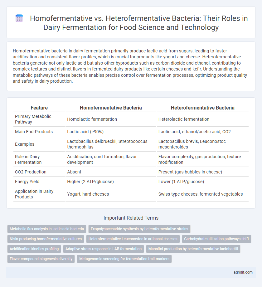 Homofermentative vs. Heterofermentative Bacteria: Their Roles in Dairy Fermentation for Food Science and Technology