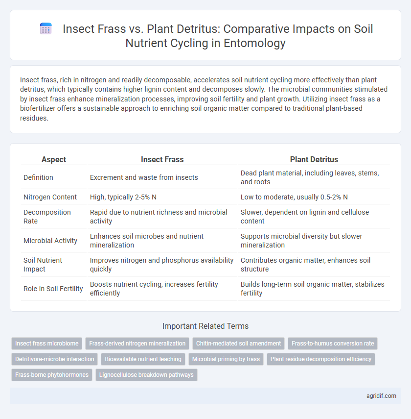 Insect Frass vs. Plant Detritus: Comparative Impacts on Soil Nutrient Cycling in Entomology