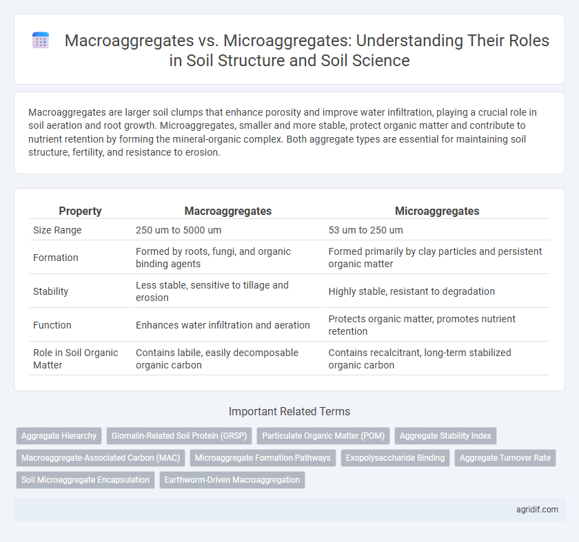 Macroaggregates vs. Microaggregates: Understanding Their Roles in Soil Structure and Soil Science