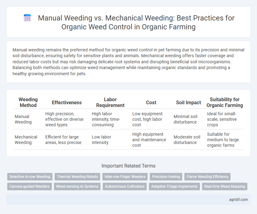 Manual Weeding vs. Mechanical Weeding: Best Practices for Organic Weed Control in Organic Farming