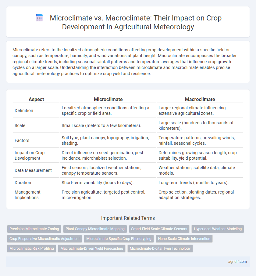 Microclimate vs. Macroclimate: Their Impact on Crop Development in Agricultural Meteorology