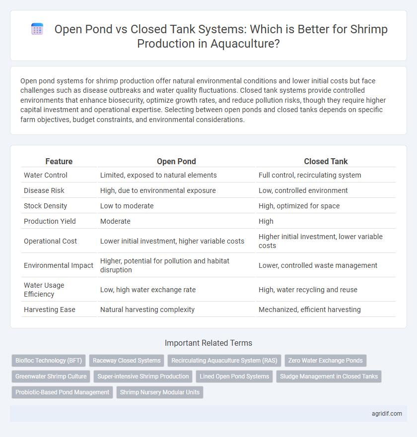 Open Pond vs Closed Tank Systems: Which is Better for Shrimp Production in Aquaculture?