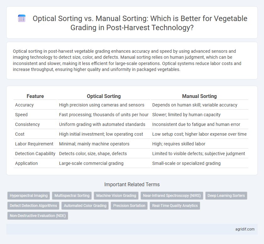Optical Sorting vs. Manual Sorting: Which is Better for Vegetable Grading in Post-Harvest Technology?