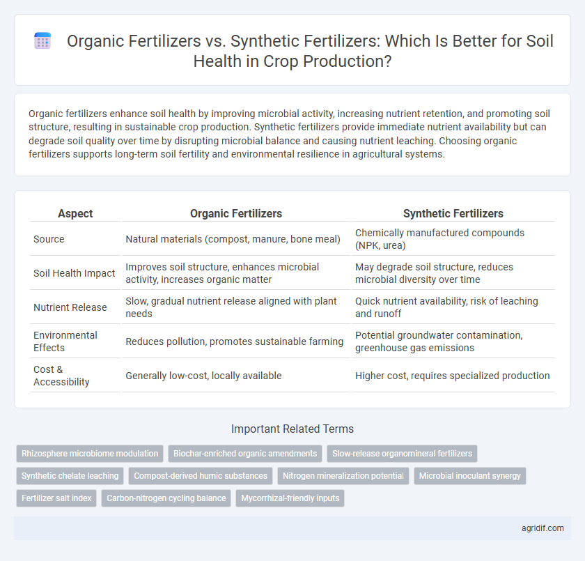 Organic Fertilizers vs. Synthetic Fertilizers: Which Is Better for Soil Health in Crop Production?