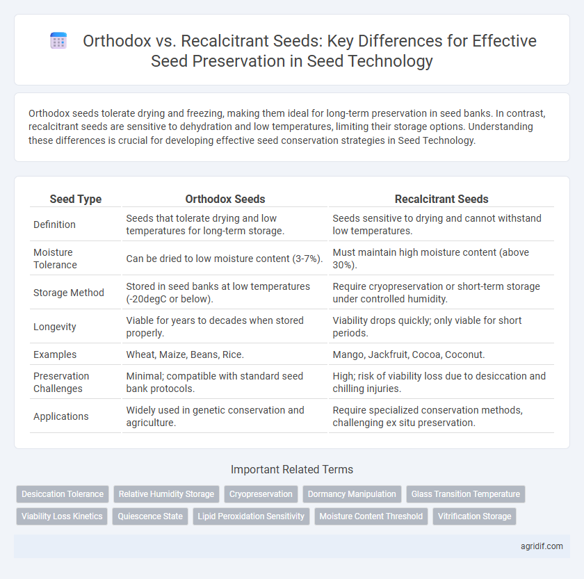 Orthodox vs. Recalcitrant Seeds: Key Differences for Effective Seed Preservation in Seed Technology
