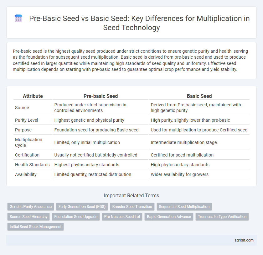 Pre-Basic Seed vs Basic Seed: Key Differences for Multiplication in Seed Technology