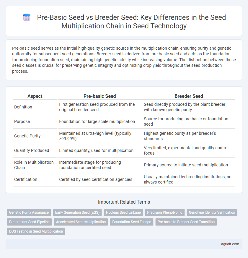Pre-Basic Seed vs Breeder Seed: Key Differences in the Seed Multiplication Chain in Seed Technology